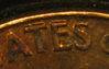 closeup3.jpg