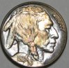 toned 1928 S buffalo 2.jpg