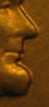 head.jpg