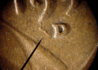 coin1952D 008-1.jpg