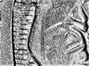 ee-4.jpg