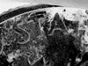 S20171110_0043.jpg