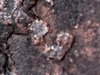 S20171110_0064.jpg