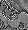 1821 close up.jpg