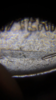 C07E5460-CBBA-4501-9EEE-A6B07FC4F2DB.png