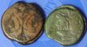 DSCN1147.JPG