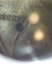 20171124_211549.jpg