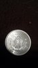 back morgan 1884.jpg