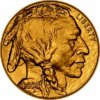 2008usa50dollarbuffaloobv400.jpg