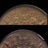 1864 LM vs SM.jpg