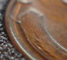 DSC01856.JPG