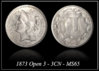 3cn-1873.jpg