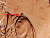 2009a.jpg