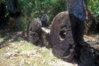 40634614_Image35.jpg
