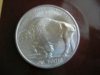 DSCN4539.jpg
