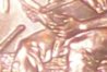 hand 3.jpg