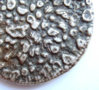cs5186.jpg