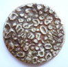 cs5189.jpg