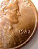 IMG_20171208_110528207_BURST000_COVER.jpg