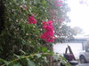 20171208_092239.jpg