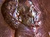 IMG_20171218_165633420.jpg