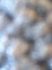 6D586FE6-0284-4824-AD7D-6DD677E60586.jpeg