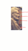 sketch-1514336949424.png