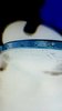 20171228_025135.jpg
