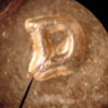 coin60sd 001-1.jpg