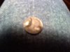 downsized_1223092218.jpg