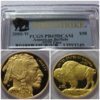 2008-W PROOF BUFFALO.jpg