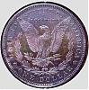 1882DMPLRev.jpg