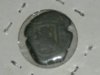 DSCN1623.jpg
