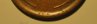 Lincoln Cent 1909 S VDB Reverse 200X Base.JPG