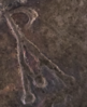 Snip20180113_2.png