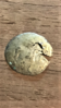 silver anc.png