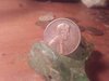 20180114_064214.jpg