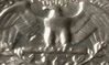 20180115_120729.jpg