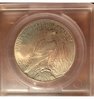 1926 Peace Dollar - Tails w Dots.jpg