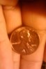 2010-01-05 13.19.51.jpg
