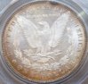 1885MorganReverse2.jpg