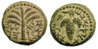 Hendin_681cf.jpg