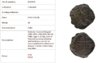 Follis.JPG