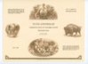 1971-81_10thAnnv_CCCC_PA_Brown_Vignettes.jpg