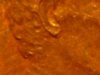 SV203334.JPG