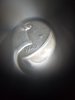 20180125_102736.jpg