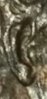 F6AD636A-D0CD-4E22-A668-18411449AAE5.jpeg