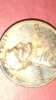 FA25B5B4-EB59-4C60-939E-4141632269BC.png