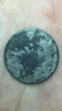 D3652392-4F93-4166-B348-3EBC4B12E78E.png
