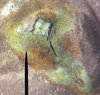 error-penny-closeup.jpg